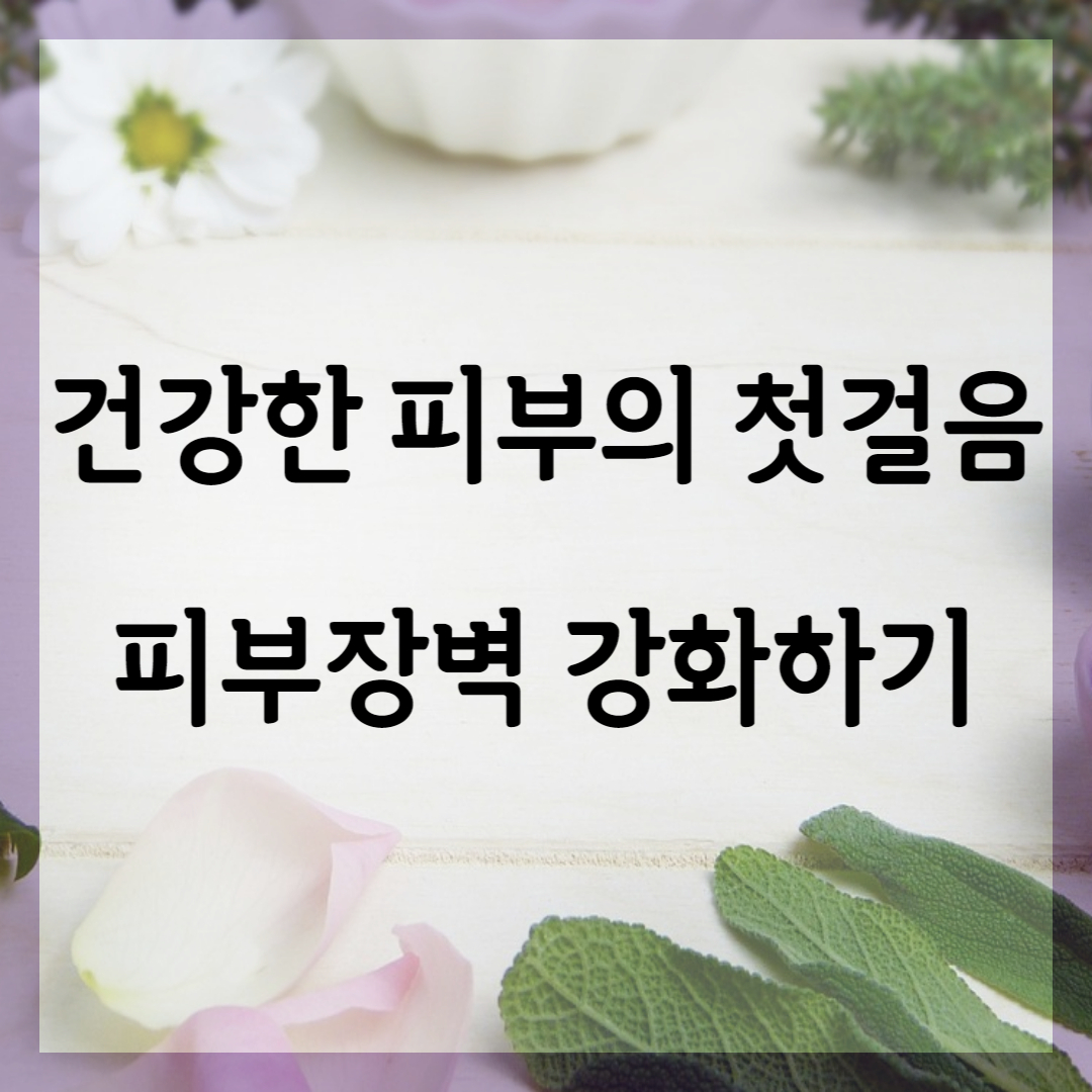 건강한 피부장벽을 세우기 위한 비법에 대해 알아보기