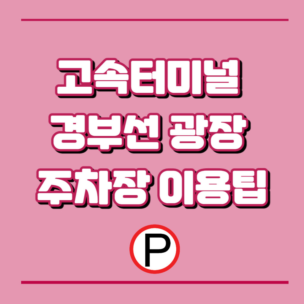 광장 주차장 이용팁