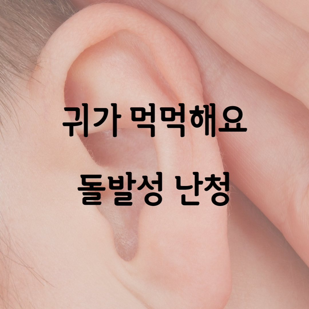 돌발성 난청 후기: 귀가 먹먹하고 안 들려요