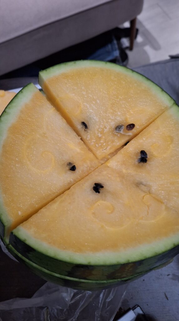 대만 가오슝에서 즐기는 따뜻한 가족 여행 1