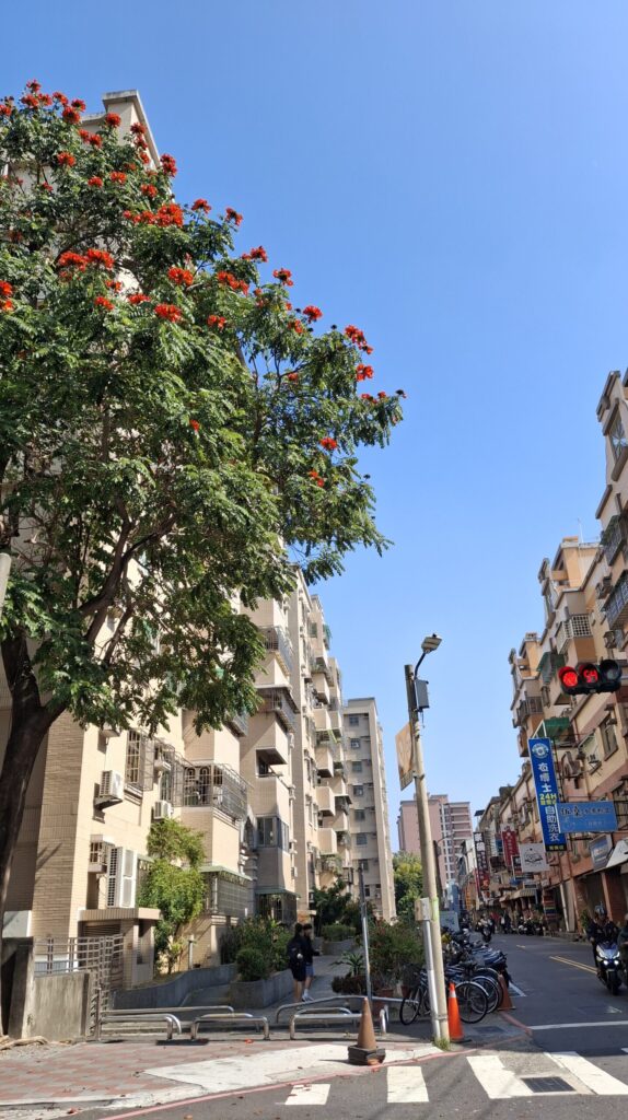 타이난 덮밥집 거리