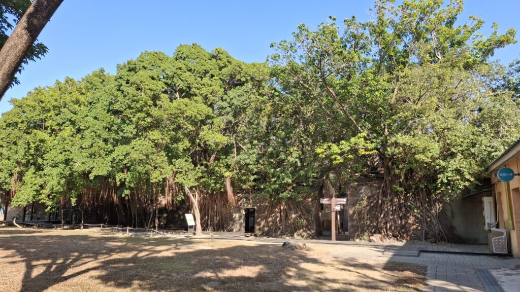 대만 타이난 안평수옥